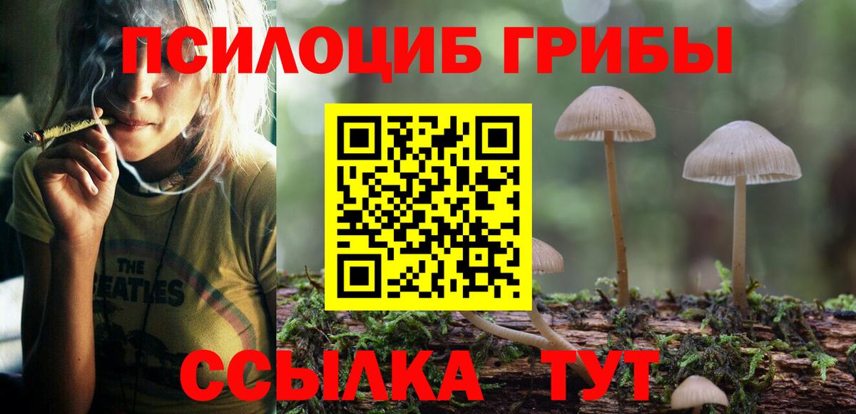 Псилоцибиновые грибы ЛСД  Вход с VPN  Лянтор  Псилоцибиновые грибы Magic Shrooms 
